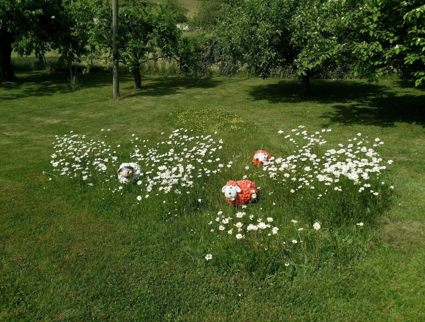 Screenshot_20190506-1905042.jpg