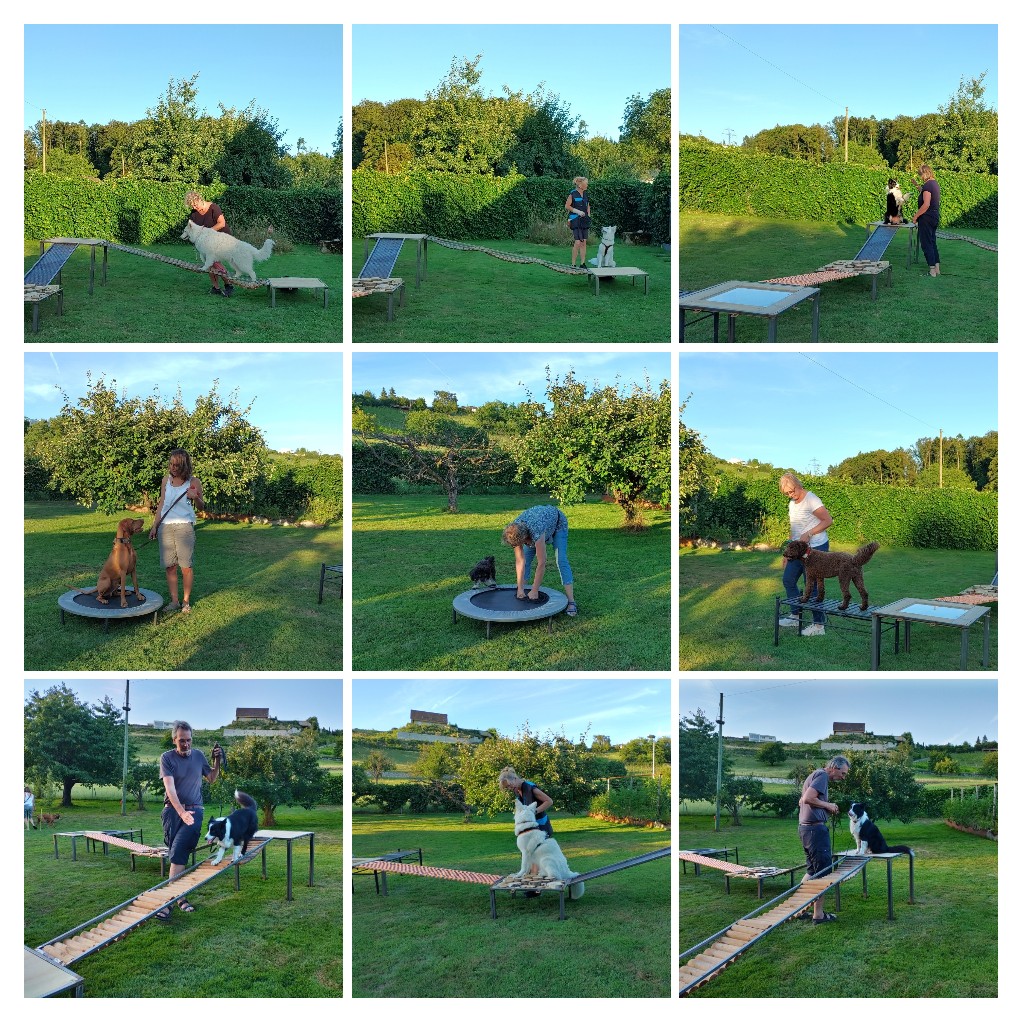 20220711224934-COLLAGE
