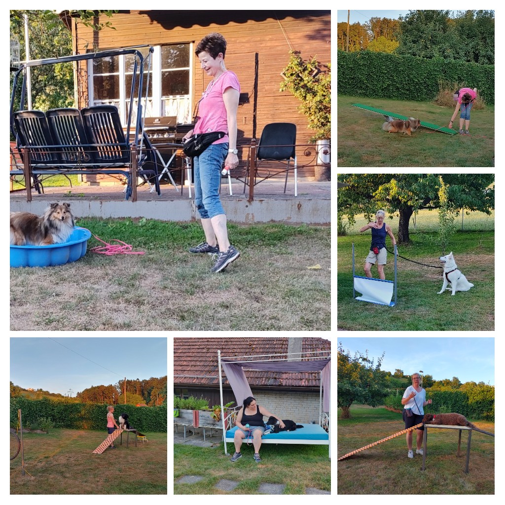20220718224829-COLLAGE