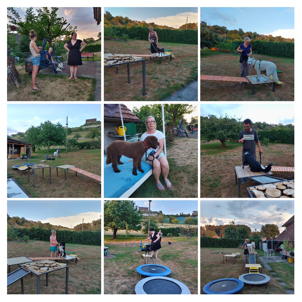 20220725234906-COLLAGE