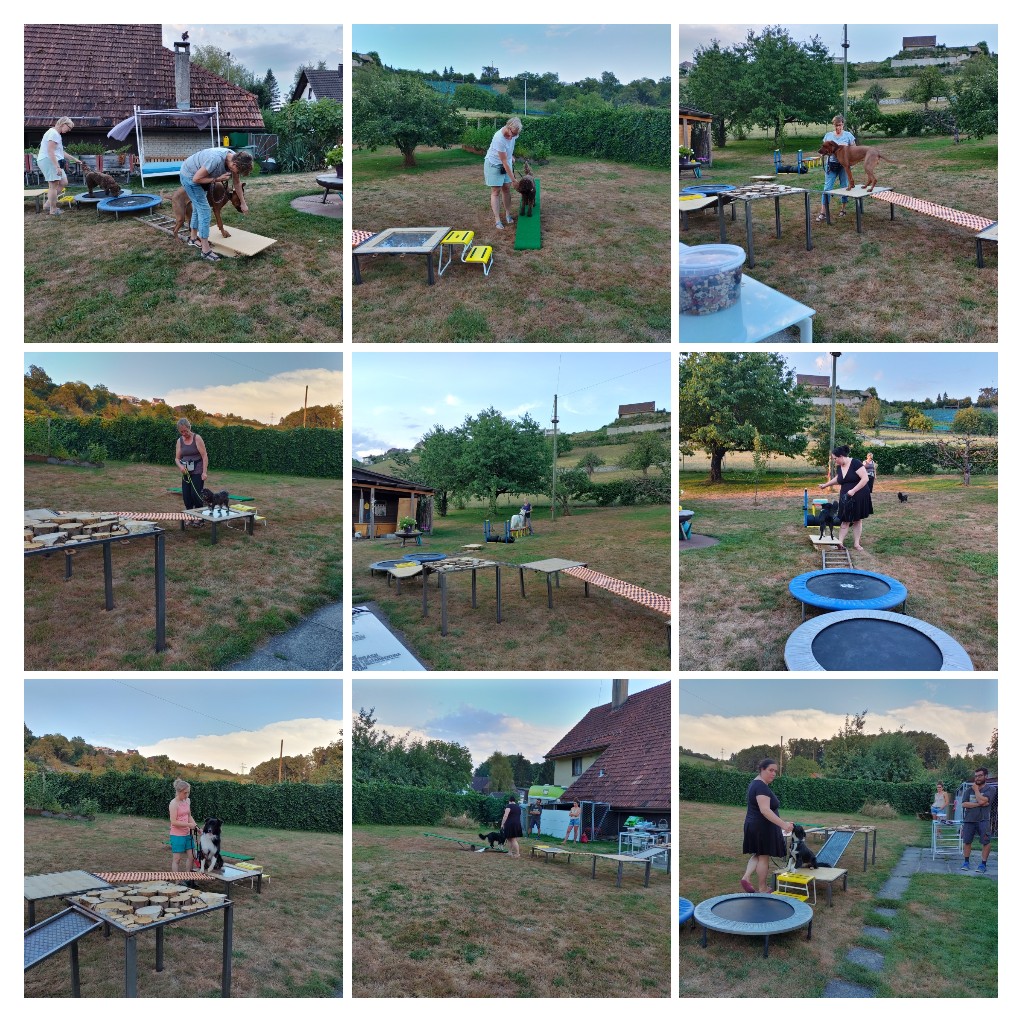 20220725235110-COLLAGE