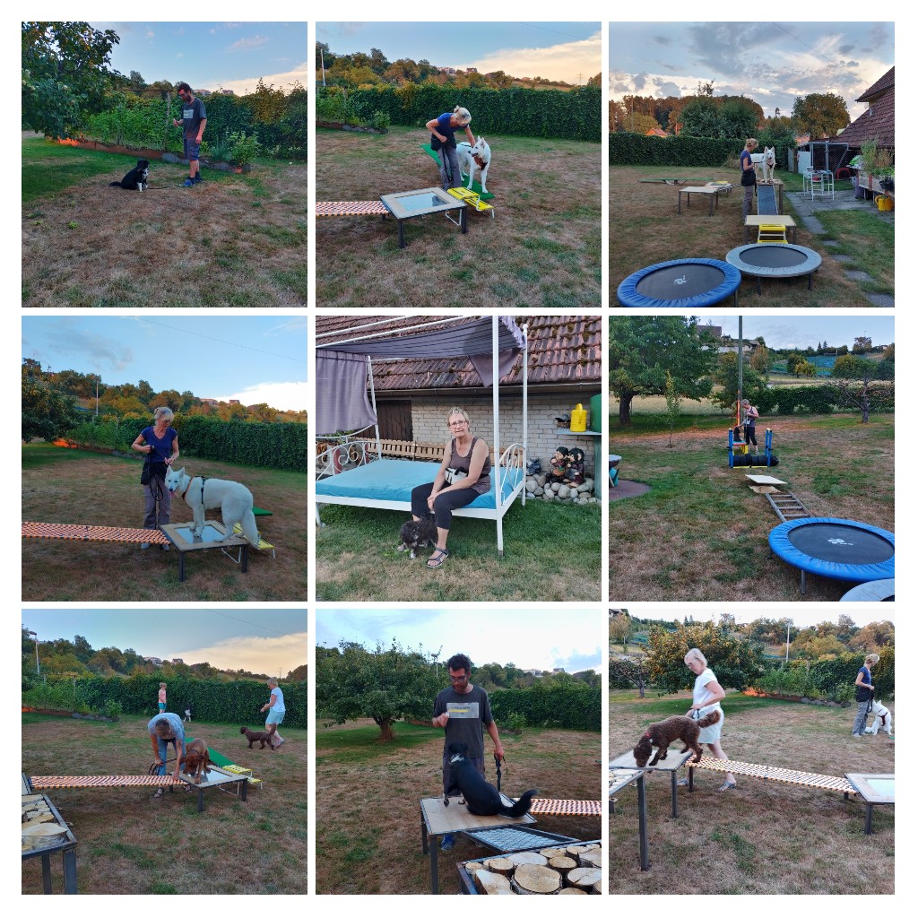 20220725235135-COLLAGE