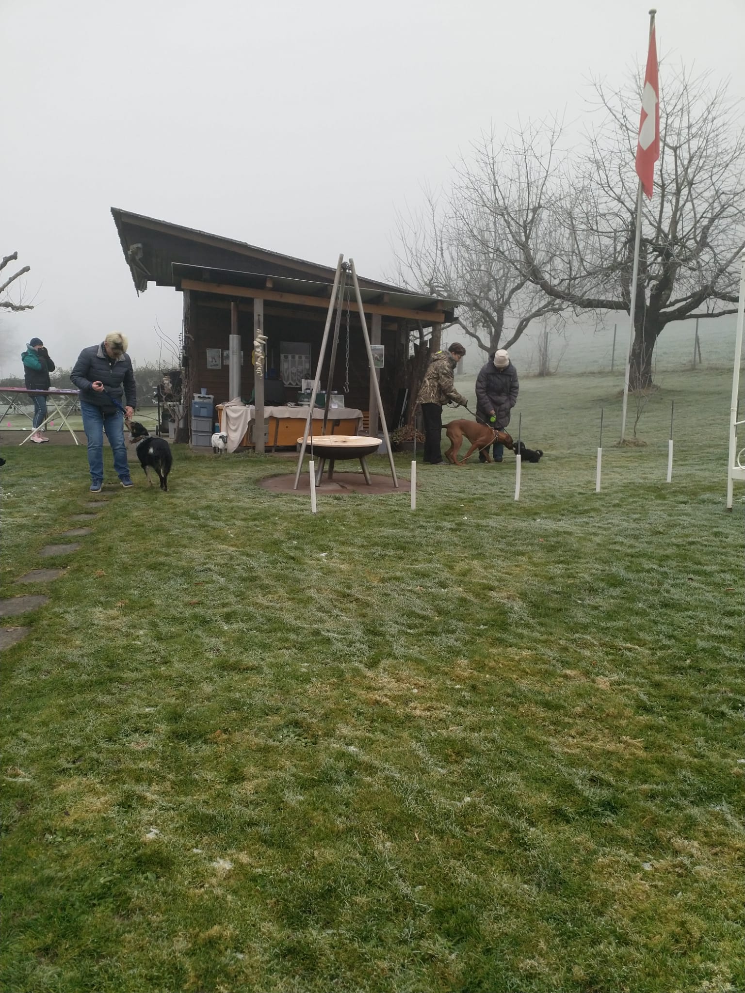 IMG-20220115-WA0011