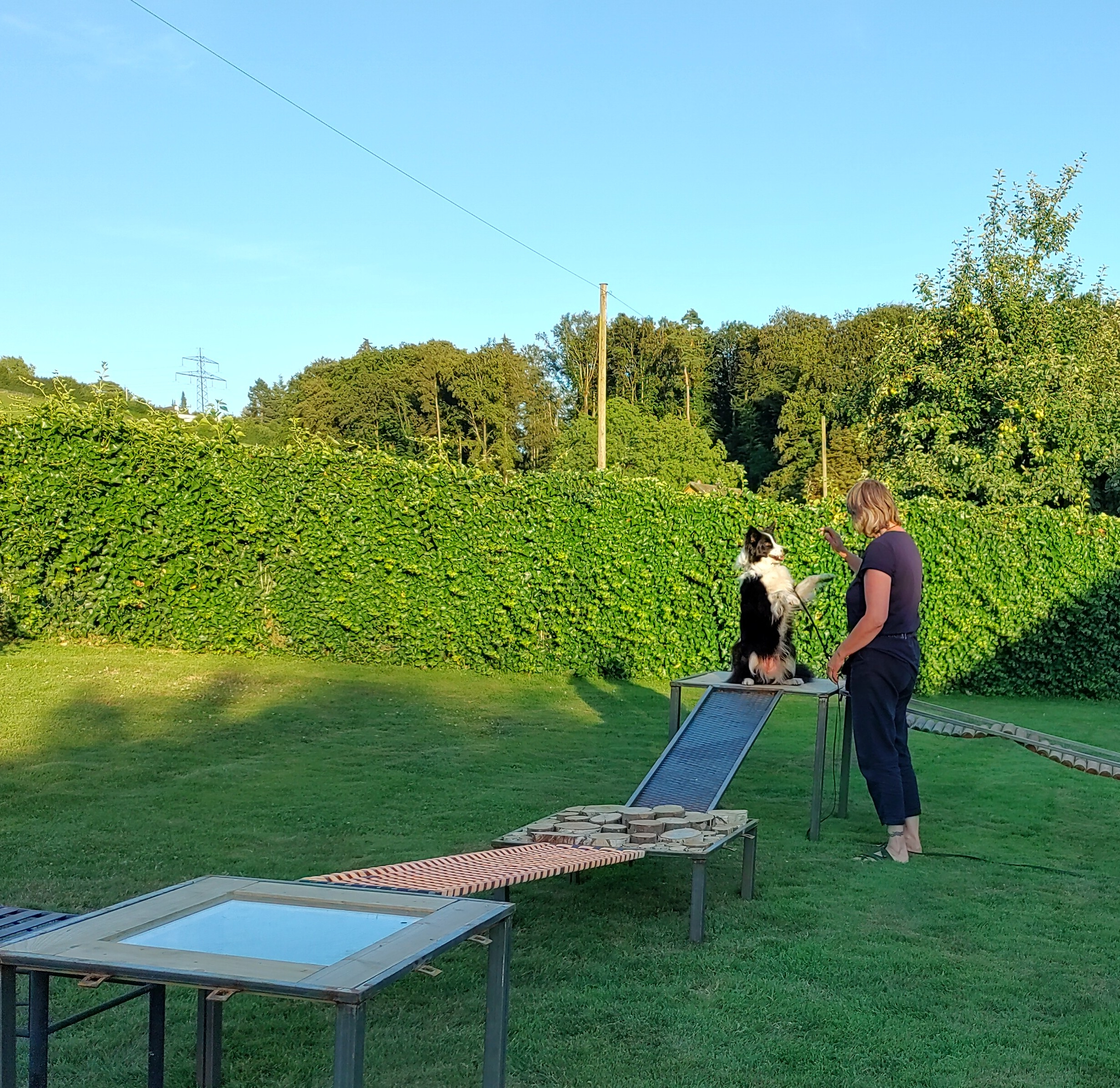 IMG20220711202456hdr2
