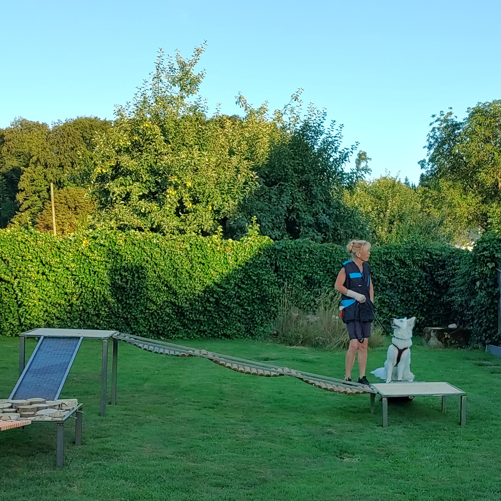 IMG20220711202842hdr2