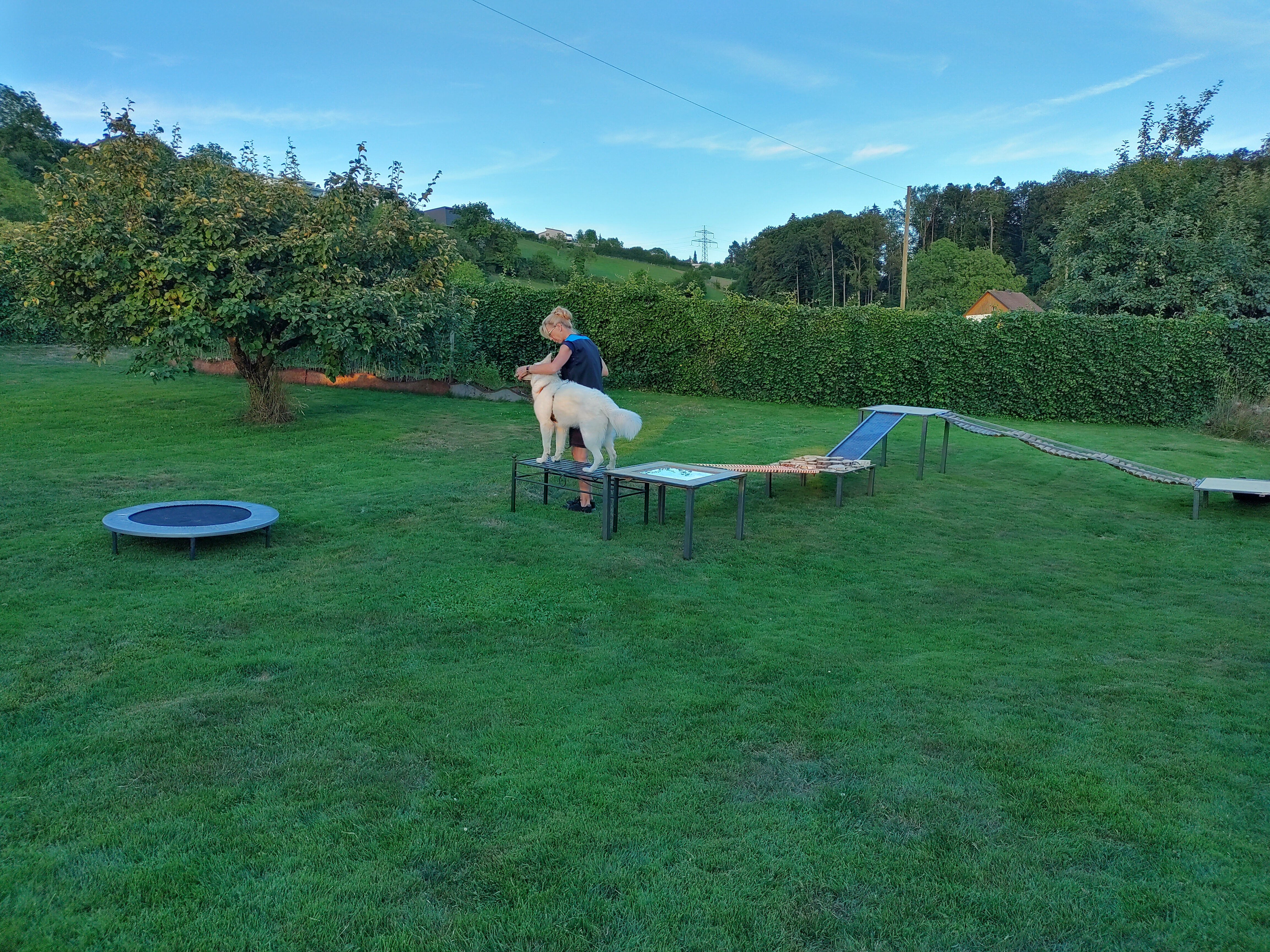 IMG20220711204754hdr