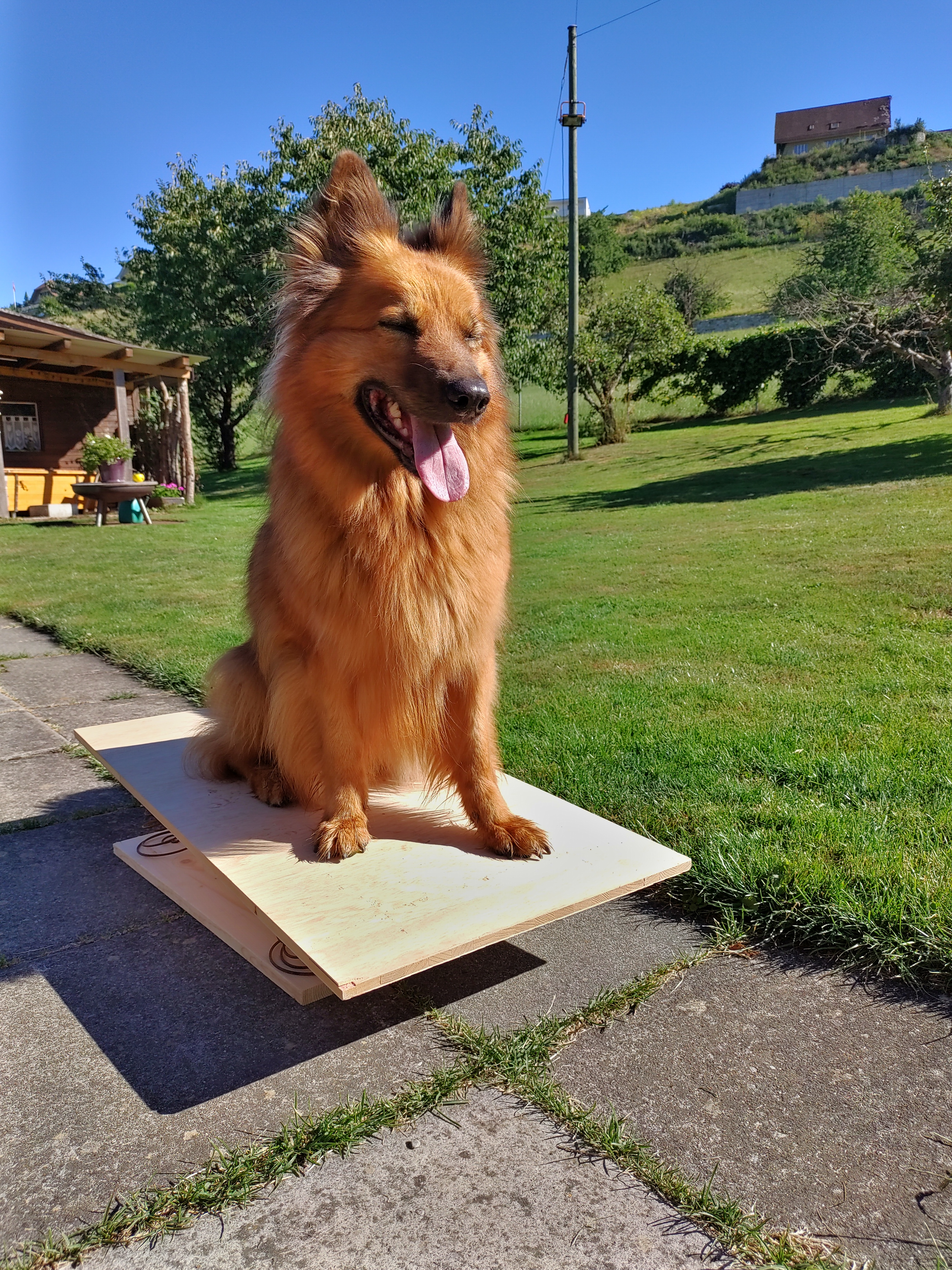 IMG20220713092230hdr