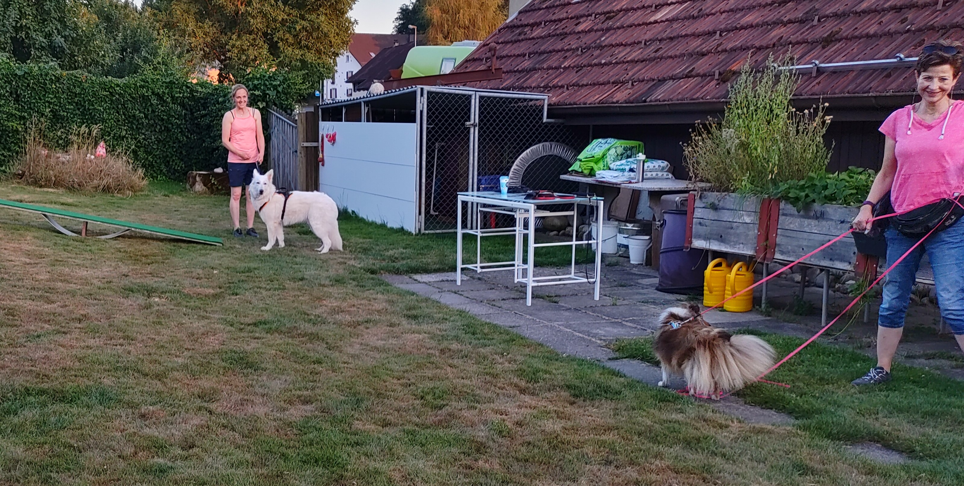 IMG20220718210140hdr