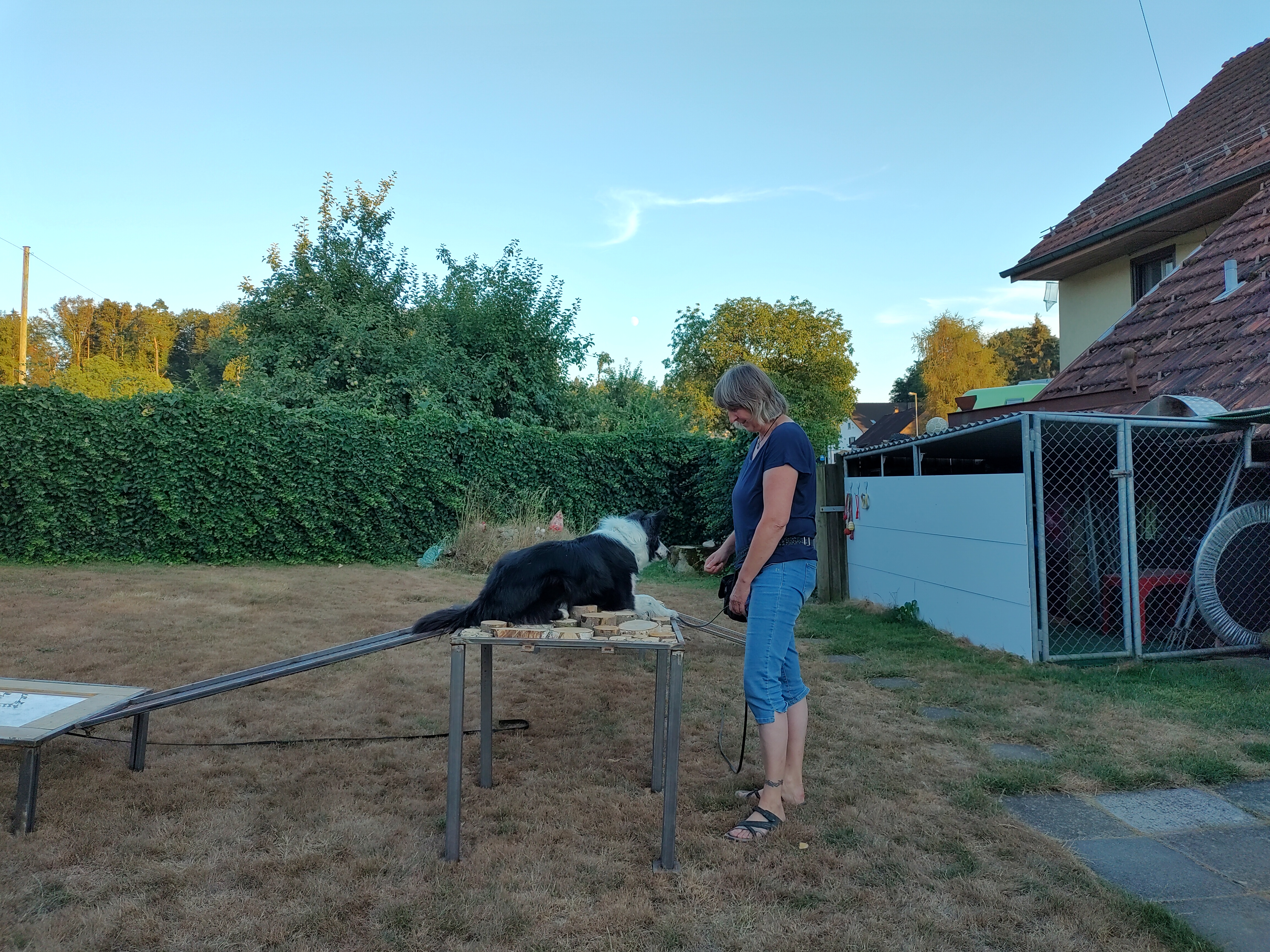IMG20220808202053hdr