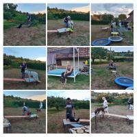 20220725235135-COLLAGE