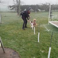 IMG-20220115-WA0005