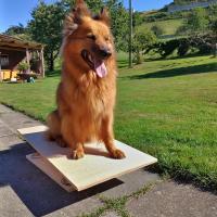 IMG20220713092230hdr