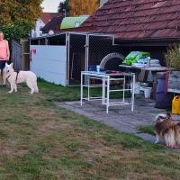 IMG20220718210140hdr
