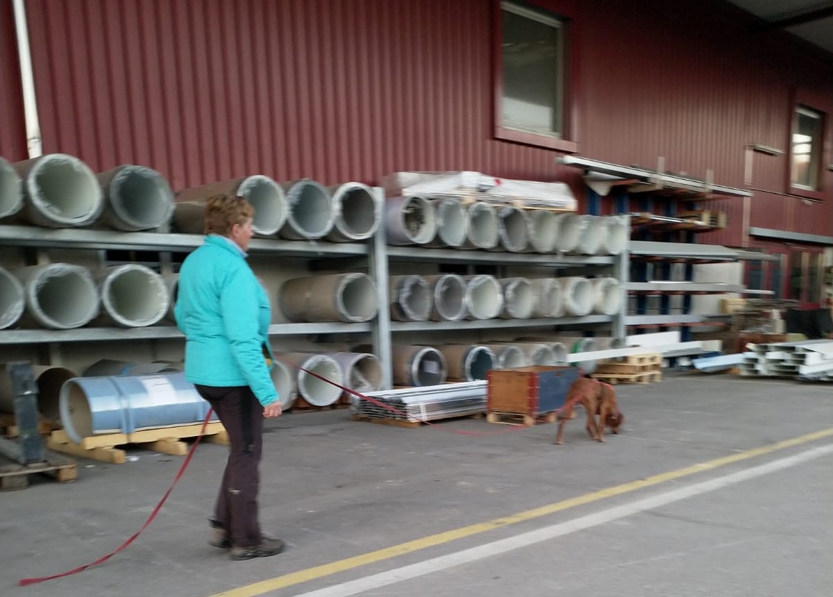 IMG-20190217-WA0043