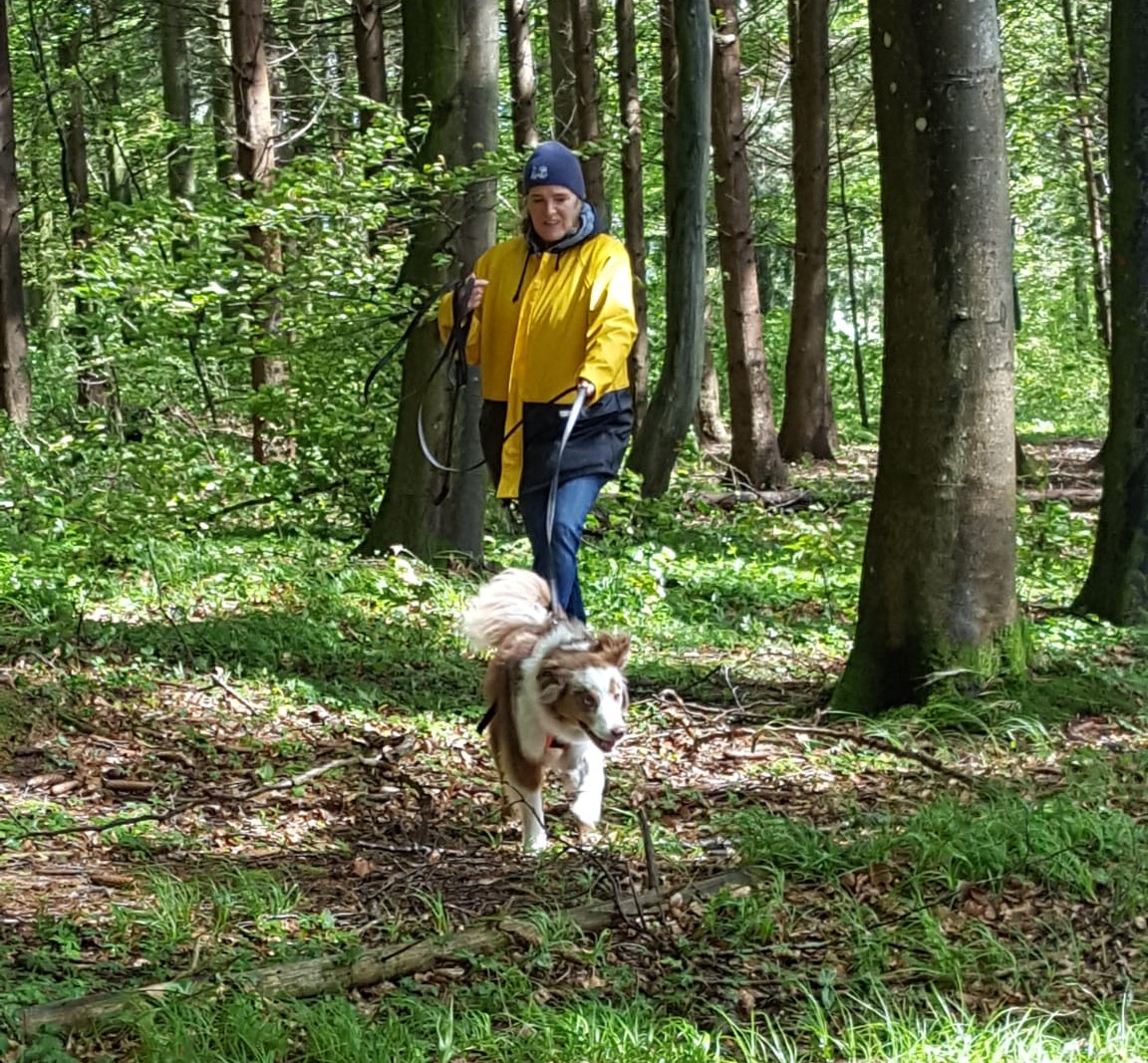 IMG-20210519-WA0010