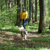 IMG-20210519-WA0010