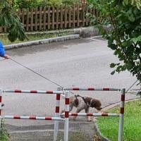 IMG-20210920-WA0008