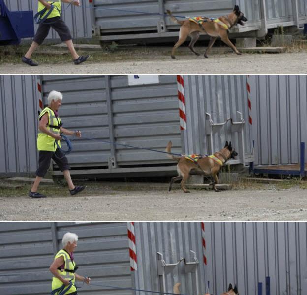 10039