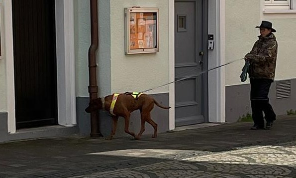 IMG-20230325-WA00102