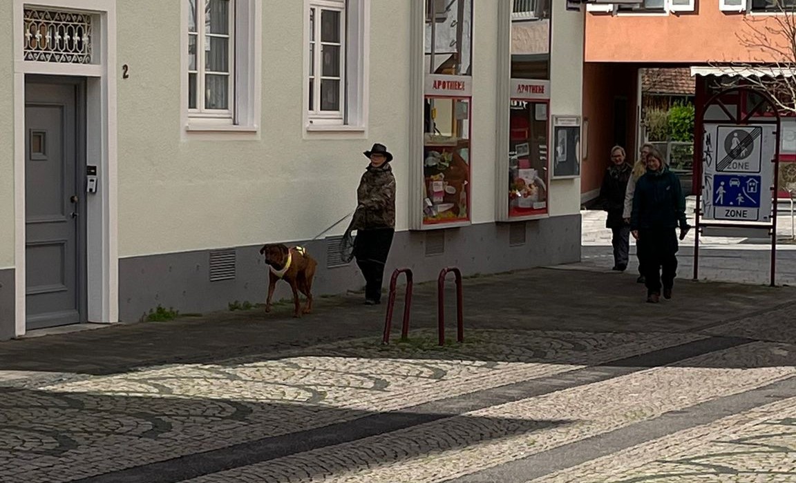 IMG-20230325-WA0011