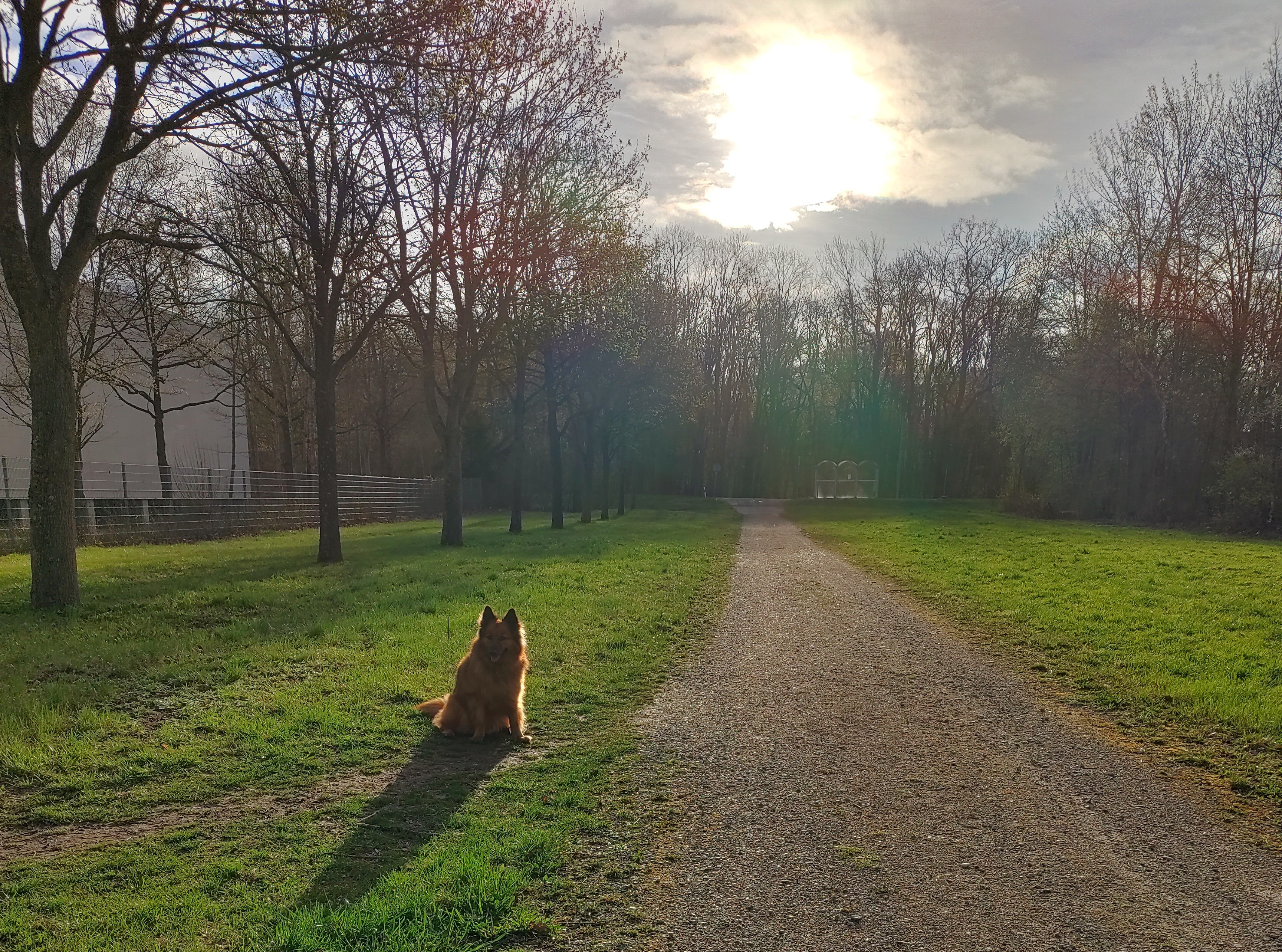 IMG20230401081604hdr