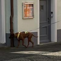 IMG-20230325-WA00102