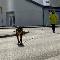IMG-20230326-WA0007