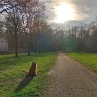 IMG20230401081604hdr