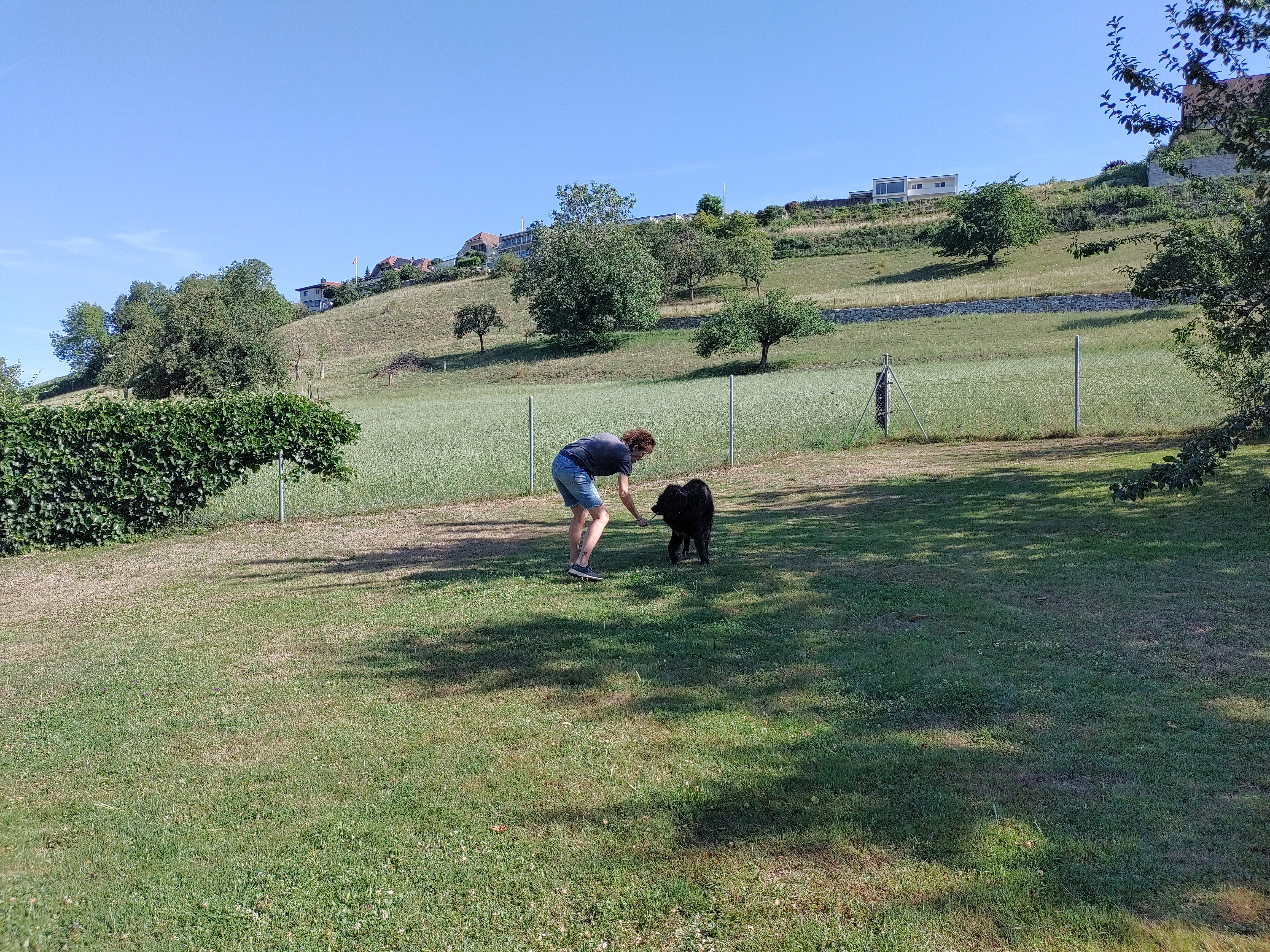 IMG20220716094540