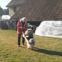 IMG20220305100456