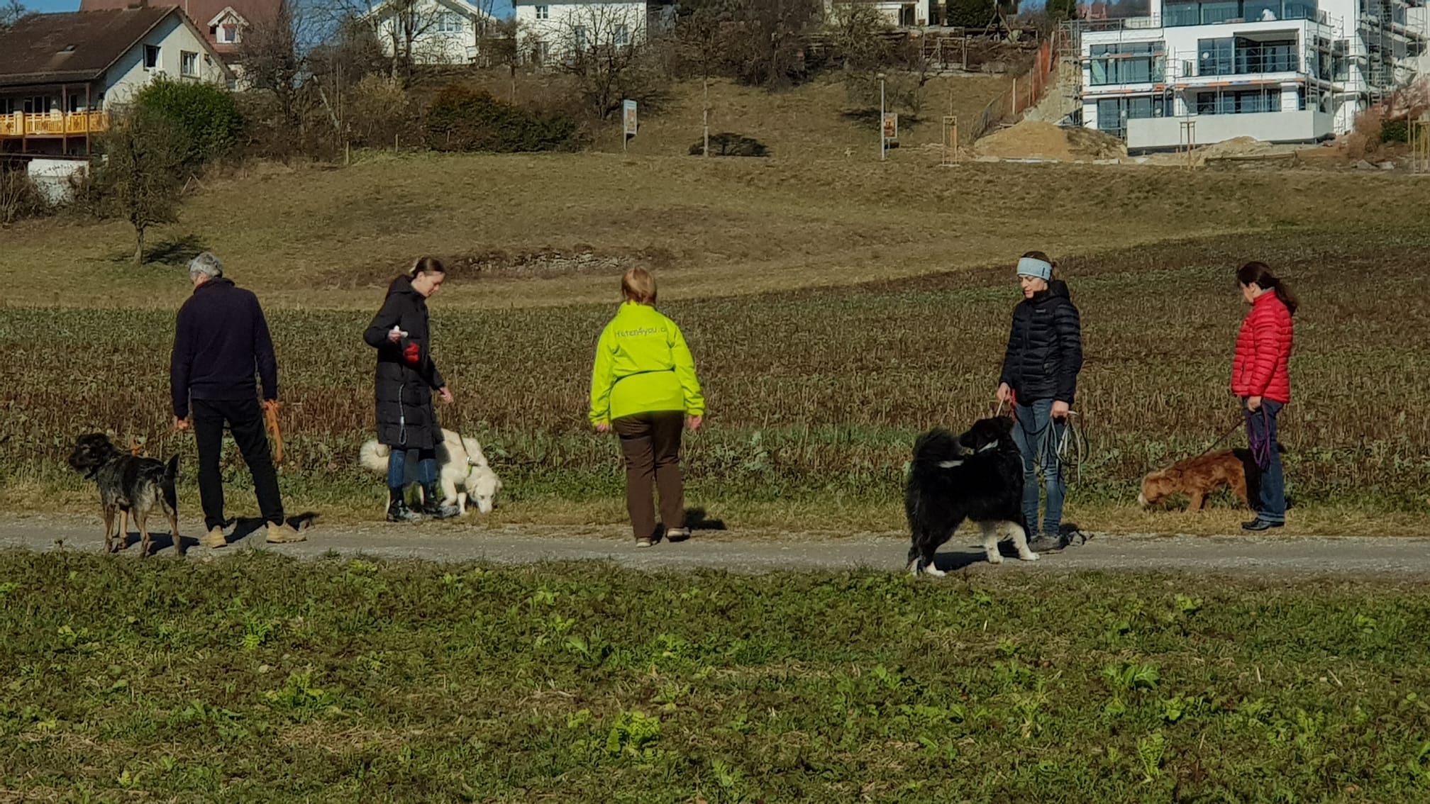 IMG-20220211-WA0004