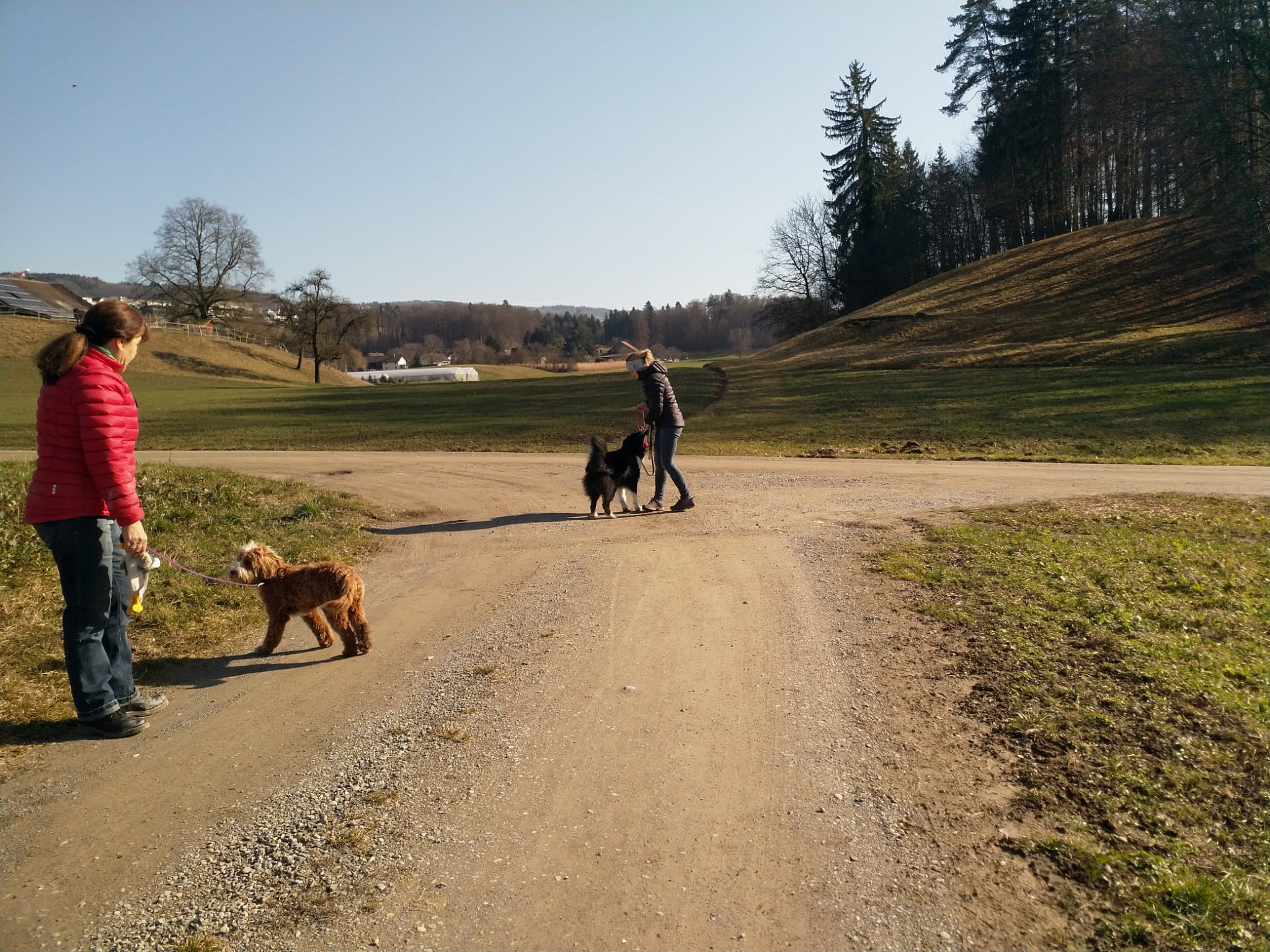 IMG-20220211-WA0012
