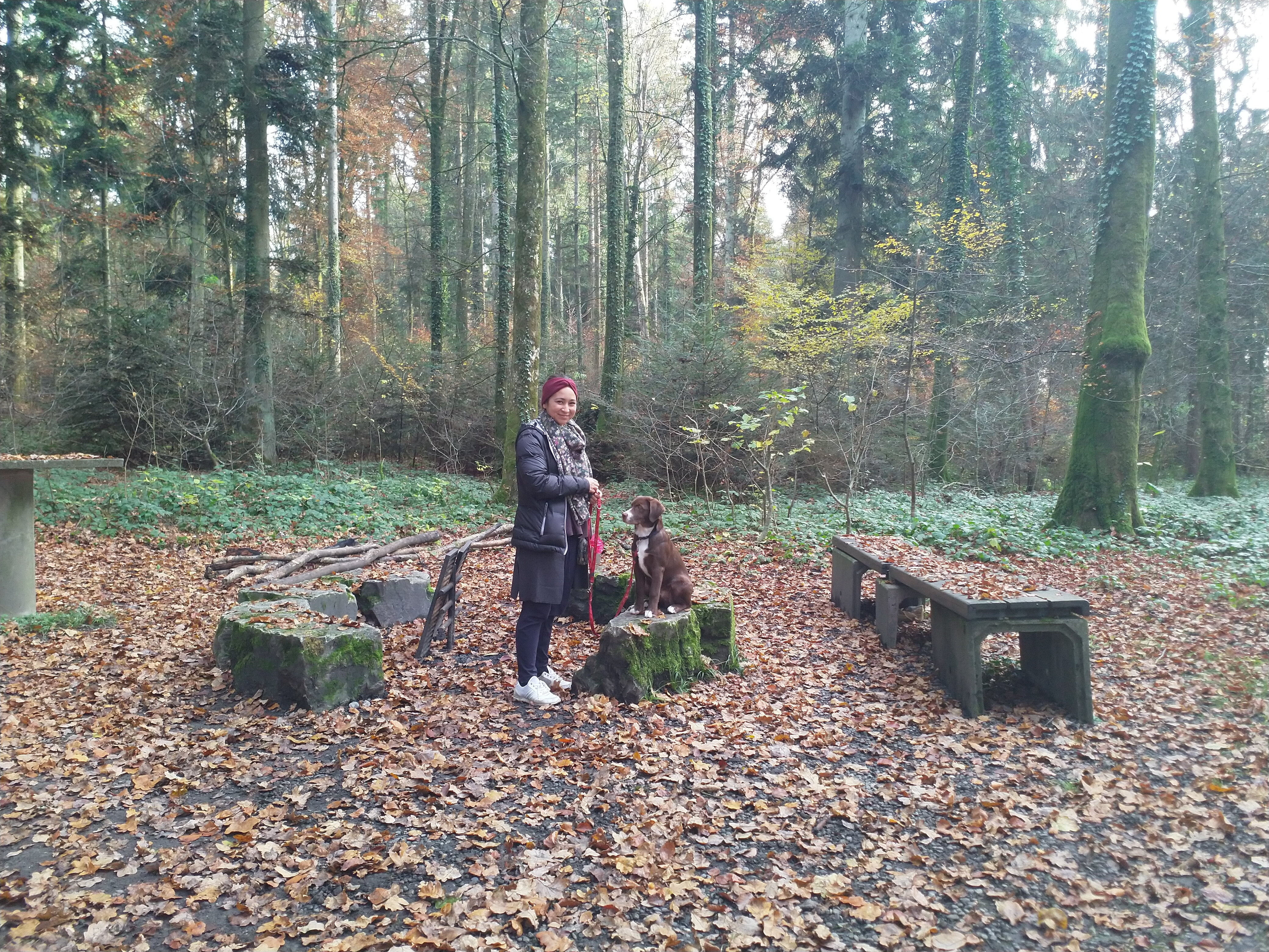 IMG20211118140143