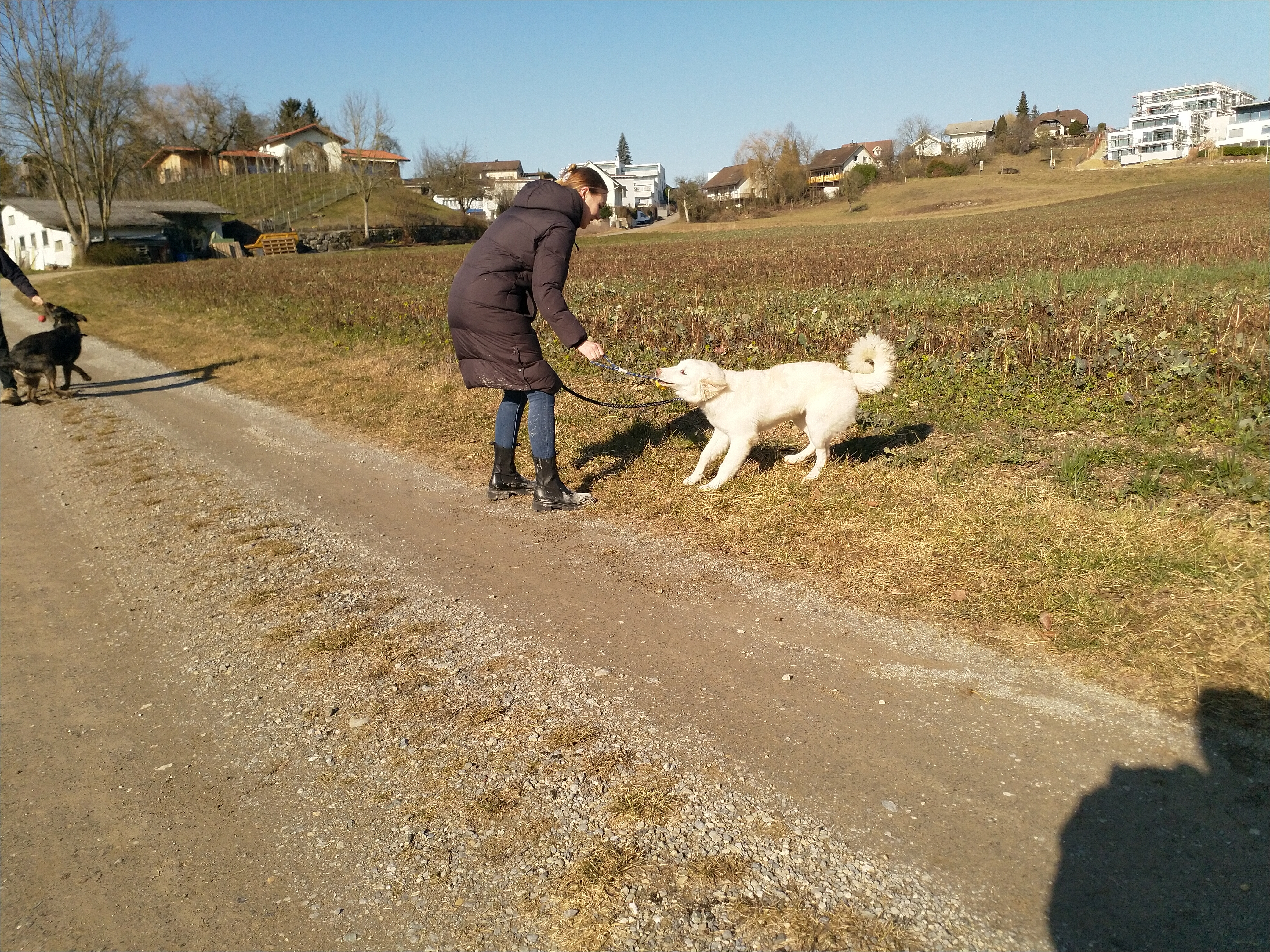 IMG20220210135303