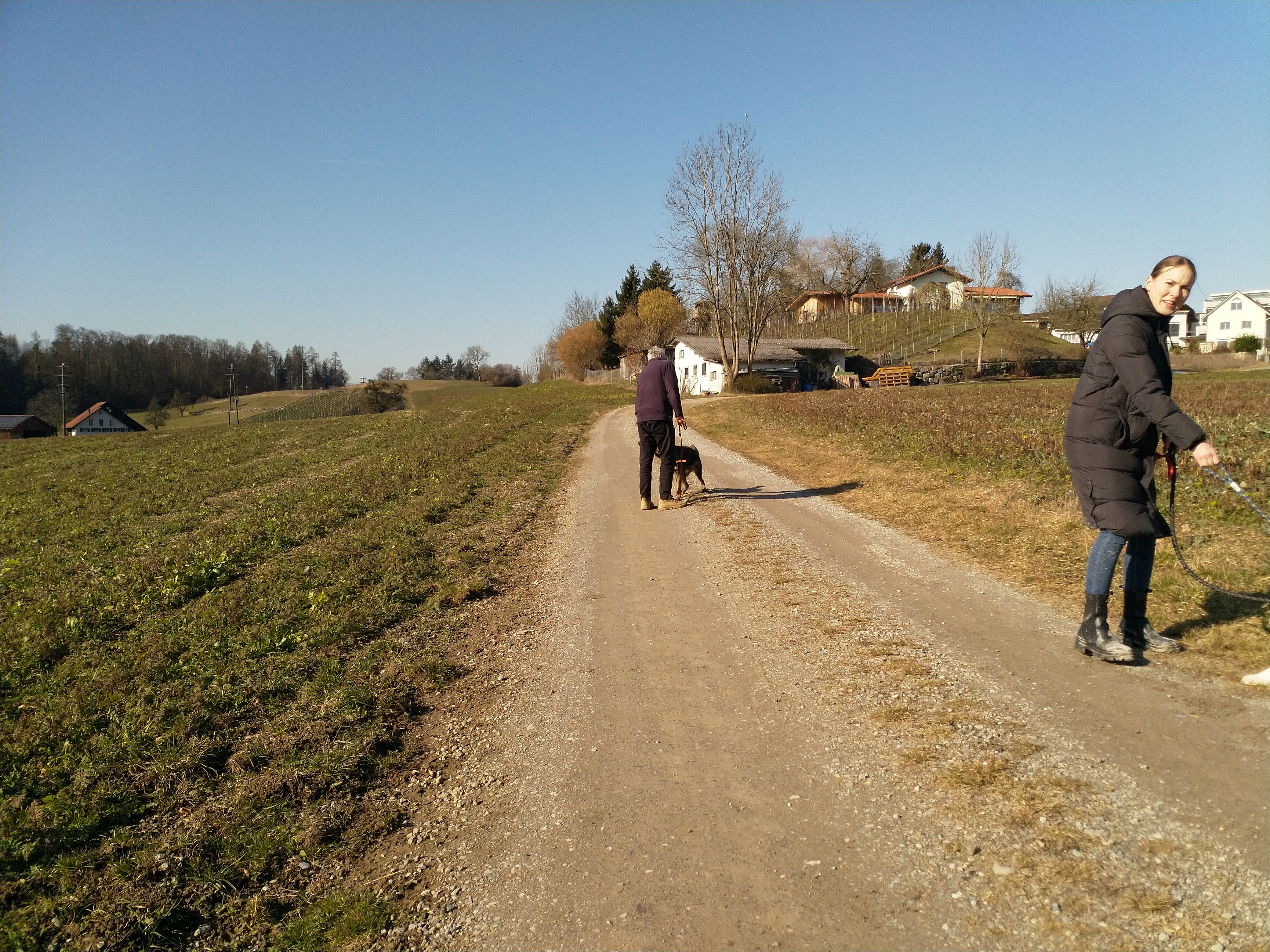IMG20220210135306