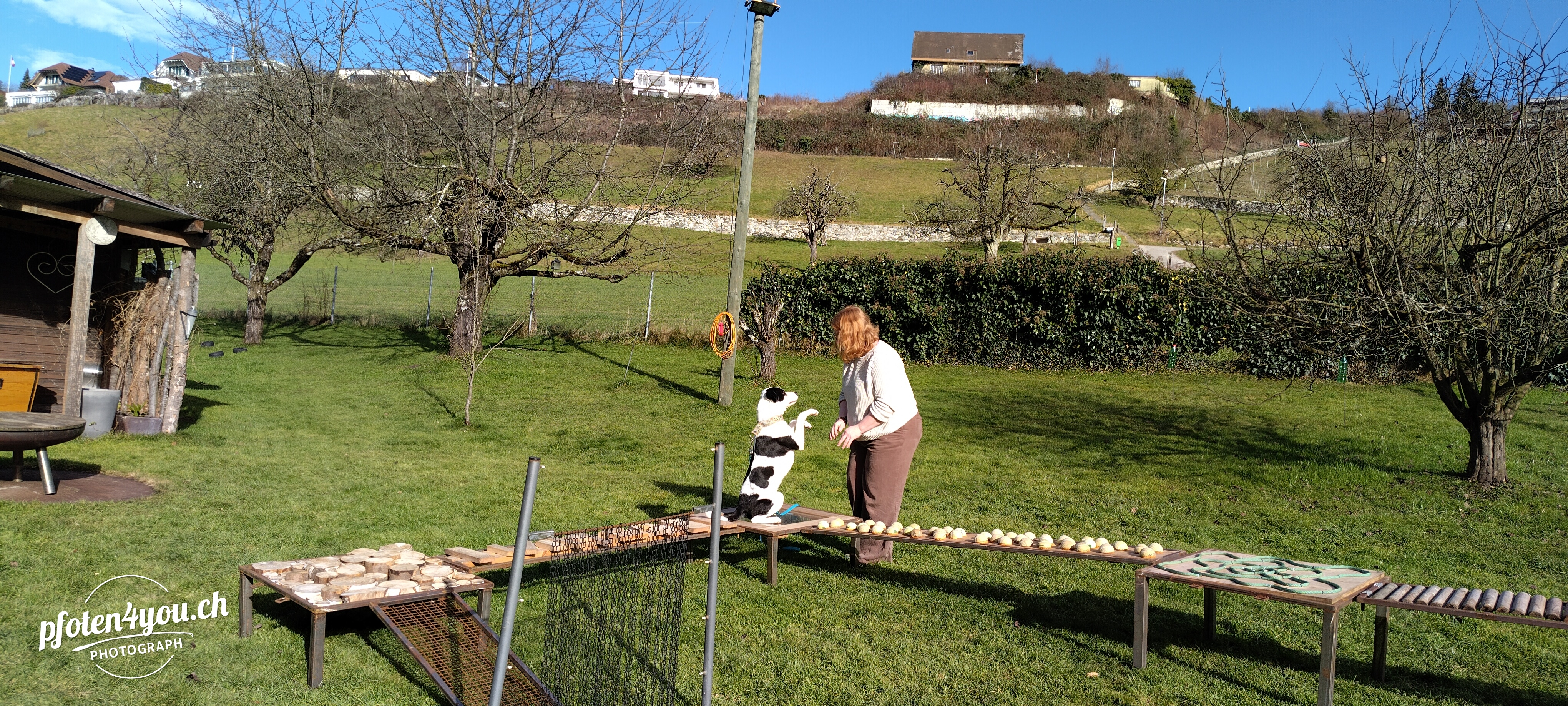 IMG20250125115922
